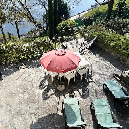 Lakeside Del Pierangelo: Platanus *