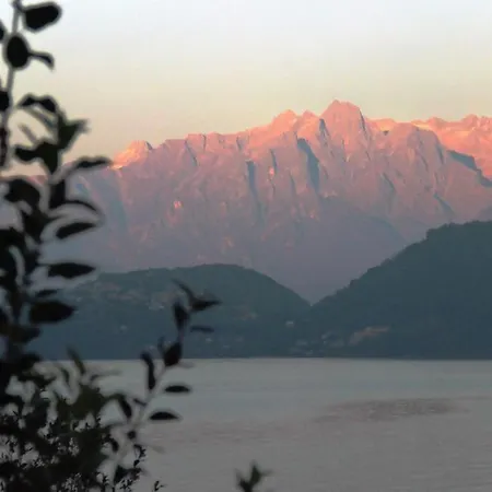 Lakeside Del Pierangelo: Platanus *