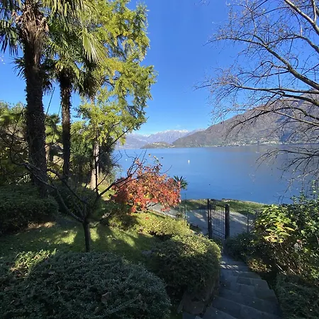 Lakeside Del Pierangelo: Platanus Daire *