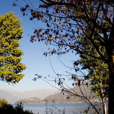 Lakeside Del Pierangelo: Platanus * Cremia