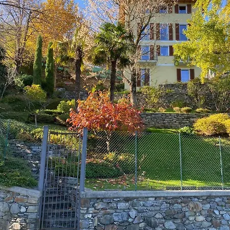 Lakeside Del Pierangelo: Platanus Daire Cremia