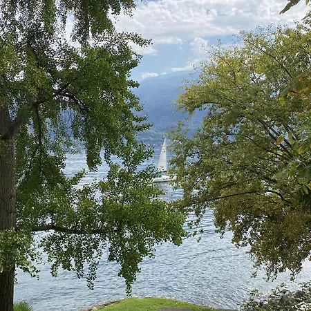 Lakeside Del Pierangelo: Platanus