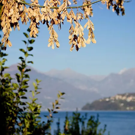 Lägenhet Lakefront Del Pierangelo *